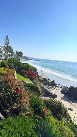 Laguna Beach  #laguna #ocean #pacific #california #beachvibes 