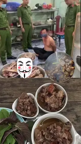 #nguyenxuandat #doanvansang #cuocsongthuongngay #nhachaymoingay #xuhuongtiktok 