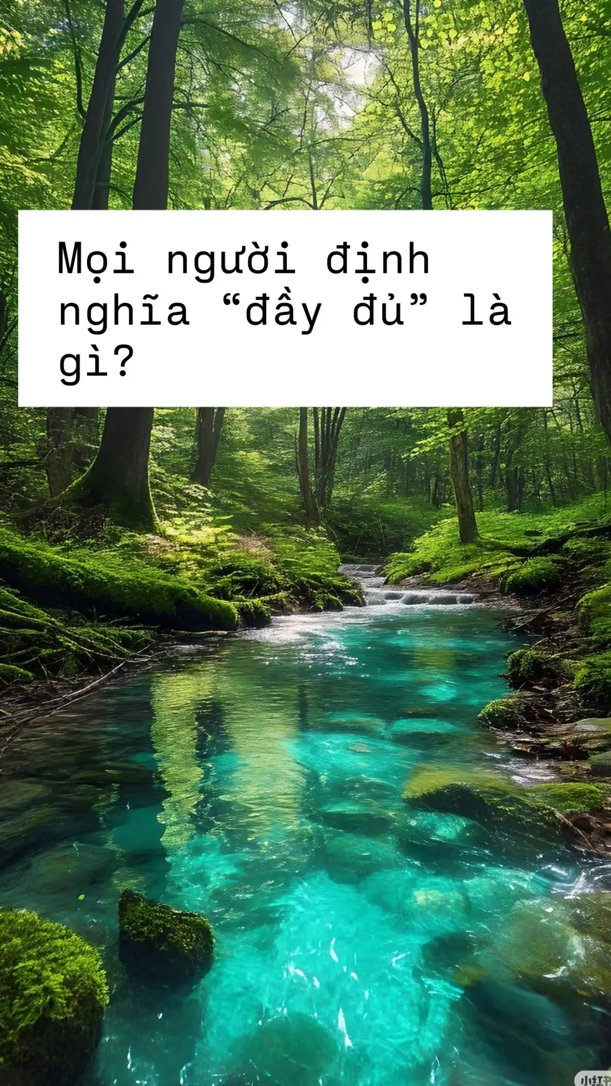 Không khó để ta tìm ra định nghĩa cho từ “đầy đủ”🥰#yeuvanhoc #nguvan #liluanvanhoc #hsgvan #vanchuong 