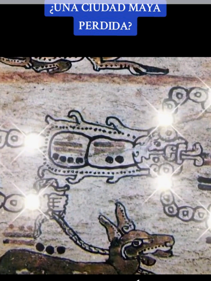 Un joven de solo 15 años sorprendió al mundo entero cuando, usando mapas estelares y constelaciones mayas, afirmó haber encontrado los restos de una posible ciudad antigua oculta en la selva. Su teoría proponía que los mayas construían sus asentamientos siguiendo patrones astronómicos. Lo que parecía imposible… de pronto comenzó a tomar forma cuando imágenes satelitales mostraron estructuras geométricas justo donde el chico señaló. #AncientAliens  #LostCity  #CiudadPerdida  #Mayas  #History 