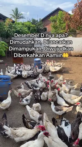 Amin🤲🏻🤲🏻