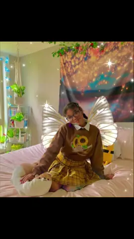 #creatorinsight2025 #visibilité @creator search insights @tiktok creators @Creator Search insight view