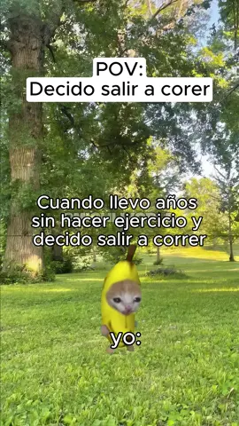 POV: Decido salir a correr 💀💀#cats #catmeme #catslovers #catsvideo #catsoftiktok #gatosgraciosos #gym #run #gatos #michis