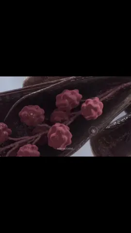 #biology #fyppppppppppppppppppppppp #obgyn #breastfeeding #fypシ 