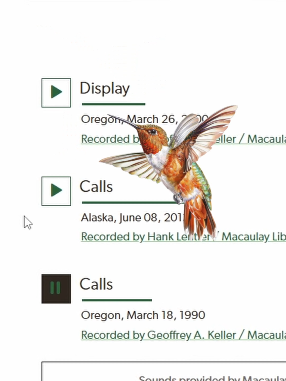 how we make the birdcalls! 🐦 #birds #birdwatching #cozygames #GamingOnTikTok #indiegames 