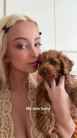 Should we make Billy a TikTok 