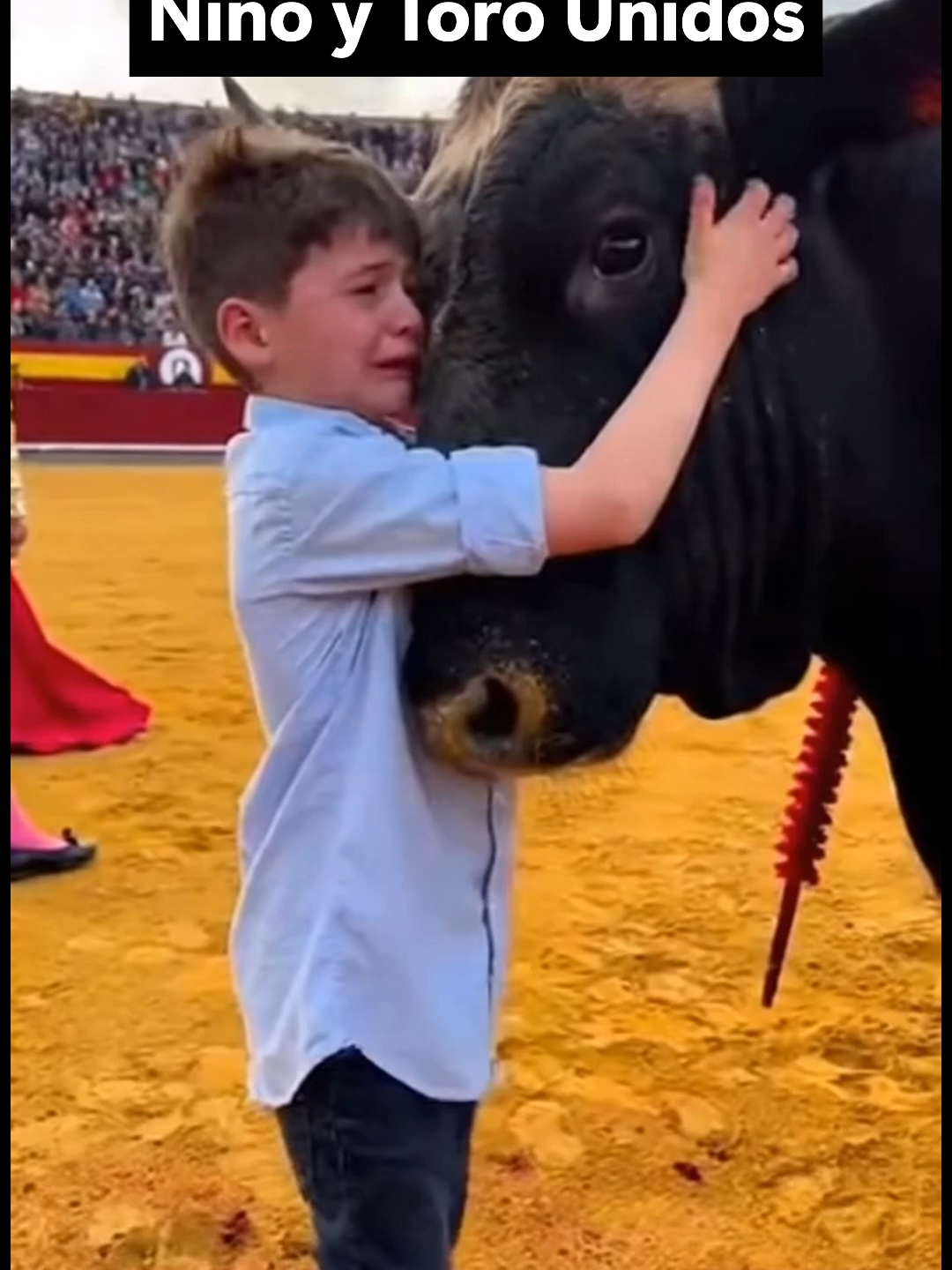 Abrazo de Compasión_ Niño y Toro Unidos