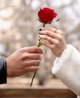 မင်းကိုအပြောနဲ့ချစ်တဲ့သူက ဂရုစိုက်ချင်မှစိုက်မယ် အလေးထားချင်မှထားမယ် ဒါပေမဲ့ မင်းကိုနှလုံးသားနဲ့ချစ်တဲ့သူကတော့ အမြဲတမ်းအလေးထား၊ဂရုစိုက်ပြီး ချစ်ပေးလိမ့်မယ်💕 #စာတို #foryou #tiktokupdate #viewsproblem😭 #crd_to_owner_with_respectcrd 