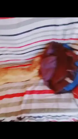 #recuerdos Los papás de Mandarino🫥🫥🫥🫥🫥🫥