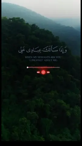 #quran #آيات #القران_الكريم #خشوع_طمأنينه_راحه_للقلب #حديث 