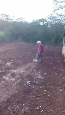 segunda edição.....