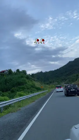 🥀🥀 @Irine yandi sandrika @mas rush @ninisjastipsopbuahirine2 @NINIS JASTIP SOP BUAH IRINE 3 @Om Cino Jastip  #fypシ゚viral🖤tiktok #sopbuahirine #jastipsopbuahirine #sampaijumpa #kenangan 