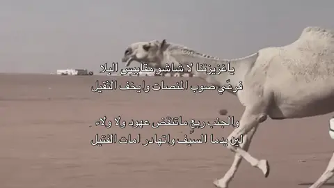 #بندر_بن_جخدب #الموت_الحمر #عبدالعزيز_بن_جخدب #الصياهد 