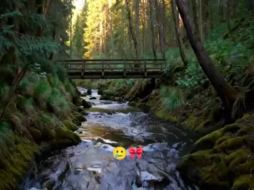 သွားကျိုးပါစေ အရှင်ဘုရား🥲💐 . . . . .. . . . . #မန်းရှင်း👀🍕 #တကယ်ကွ🎀 #ငါ့viewတွေဘယ်ရောက်သွားတာလဲ #1millionaudition #စာသားလေးတွေကိုဖတ်ရှုခြင်းဖြင့်ပျော်ရွင်ကြပါစေ။ 