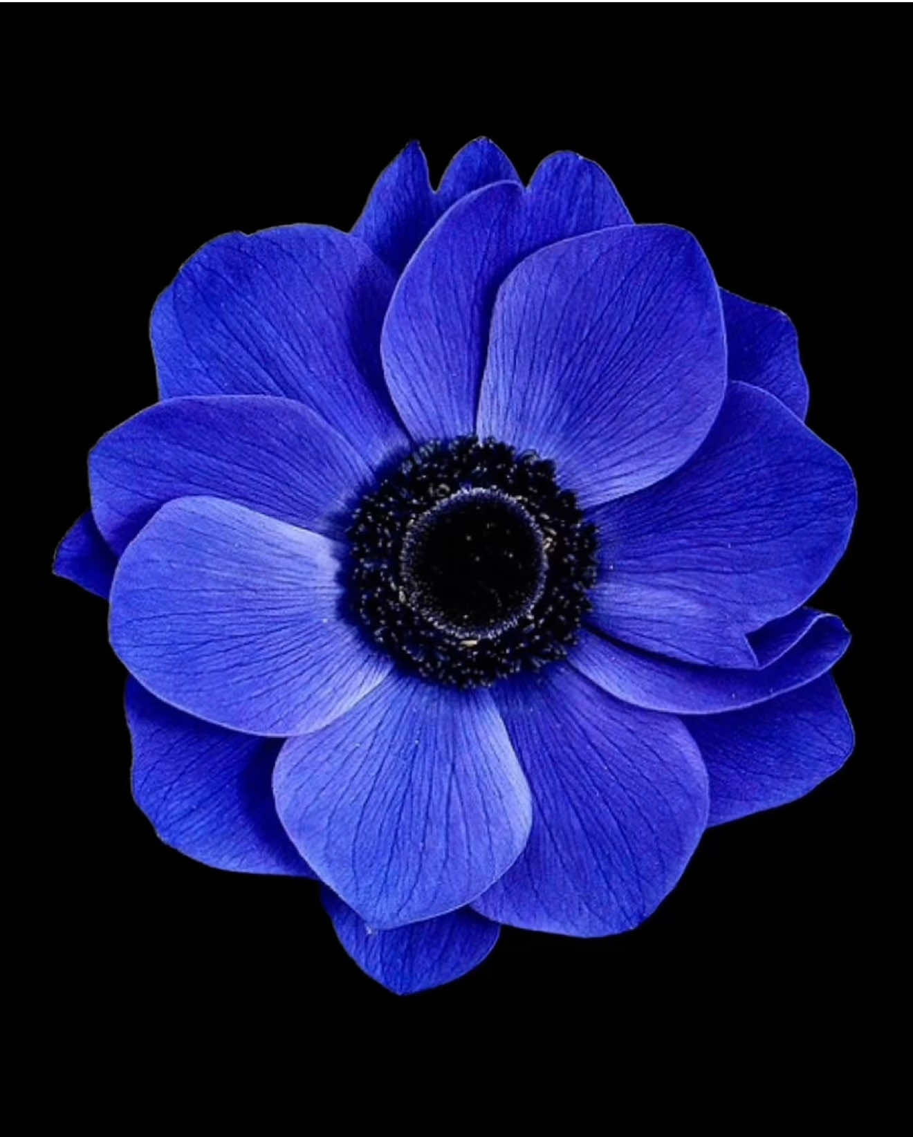 Regrets #regrets #song #songs #lyrics_songs #fyp 