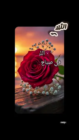 #صباحكم_معطر_بذكر_الله🌷🍃 