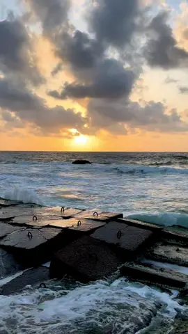 You will always stay in my heart even though we’re far apart. If you see this video, I’m sorry for talking to you late, but I really wished you had tried… I just wanted to feel that I’m precious to you. Maybe we won’t get back together again, but please understand that I love you so much, and I only knew what love truly is when I met you. I miss u, M❤️‍🩹 #رامي_صبري #alexa #fyppppppppppppppppppppppp #pov #بحر 