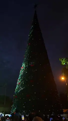 #viral #tikitok #navidad 