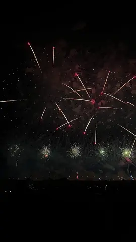 وقلبـي مغرمـاً فـيها🇦🇪💥 #اليوم_الوطني_الإماراتي #explore #foryoupage 