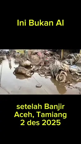 keliling Aceh tamiang setelah banjir bukan AI
