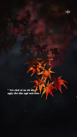 Người ta gian dối  đùa vui với tình...! #nhachaymoingay #minhminh.0907 #xuhuong2025 