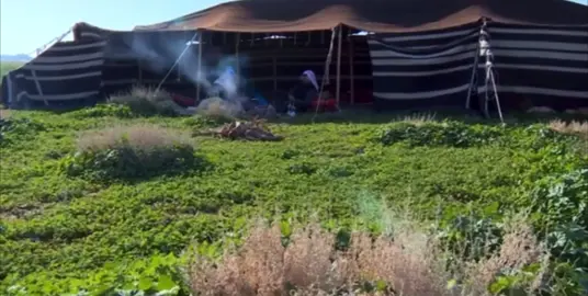 ايوالله اللي هلا #explore #explor #viral #viralvideo #اكسبلورexplore 