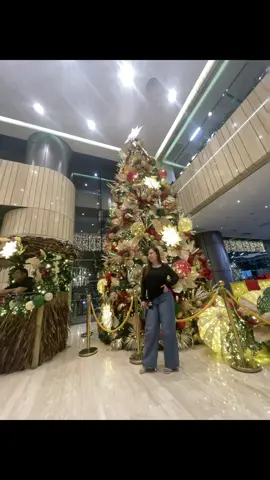 Christmas is in the Air #fyp #christmas 