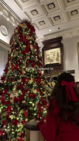 Happy December 1st ♥️ The very best month of the year 🎄✨🎅🏻 #december1st #december #christmas #foryou #cozychristmas 