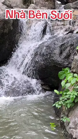 Đẹp quá mọi người ơi #Nhabensuoiangiang #nhabensuoinuidai #thinhhanh 