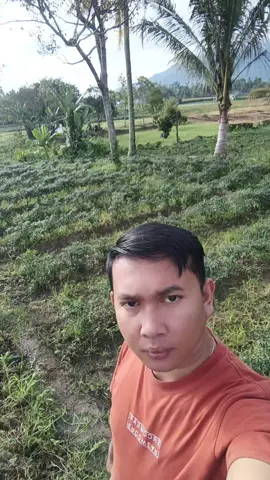 #promomakanharian #viral #fyp #mejuahjuah #kalakkaro 