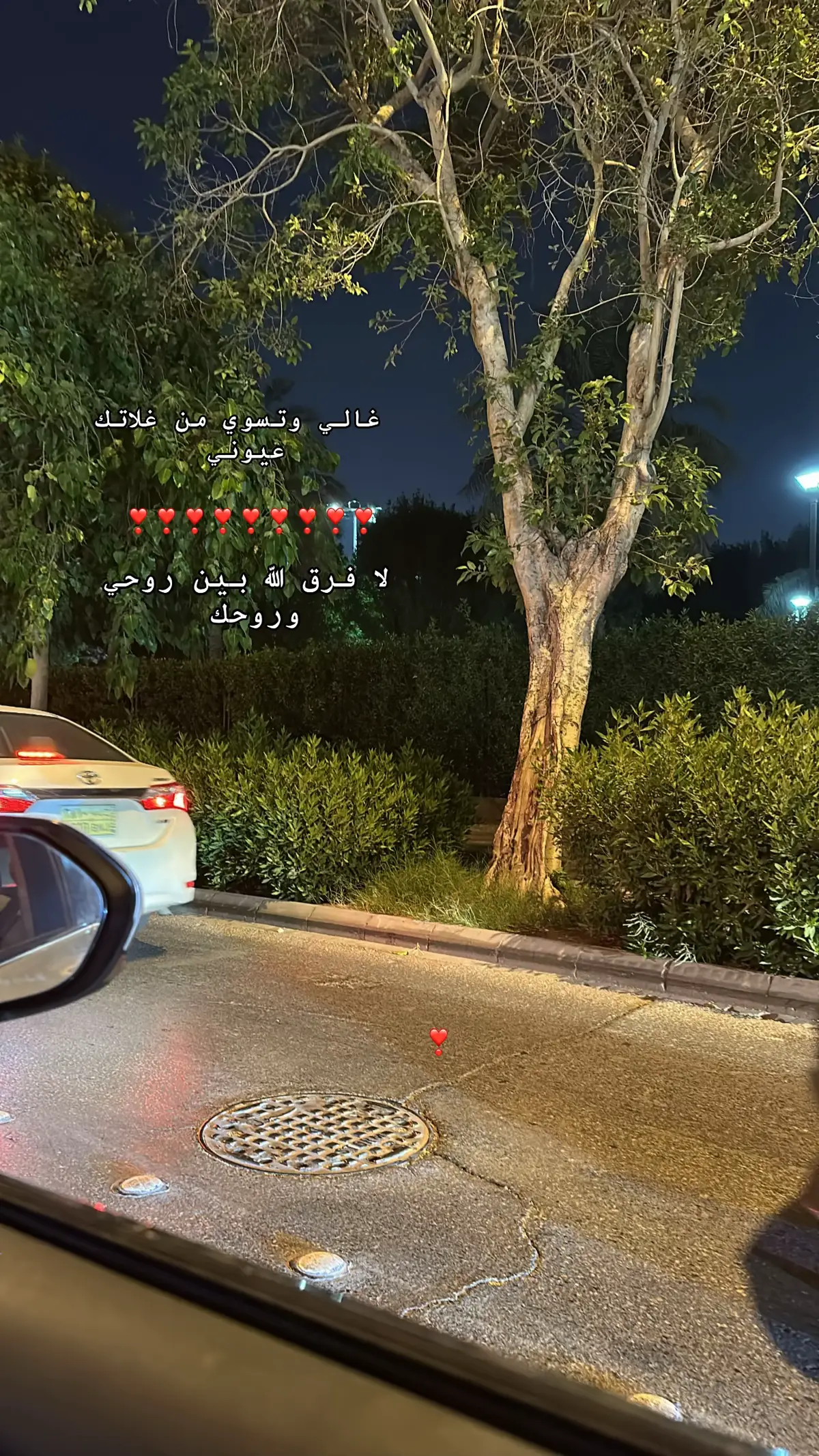 #fypシ゚ #❣️ #اكسبلوور #❣️❣️❣️ 