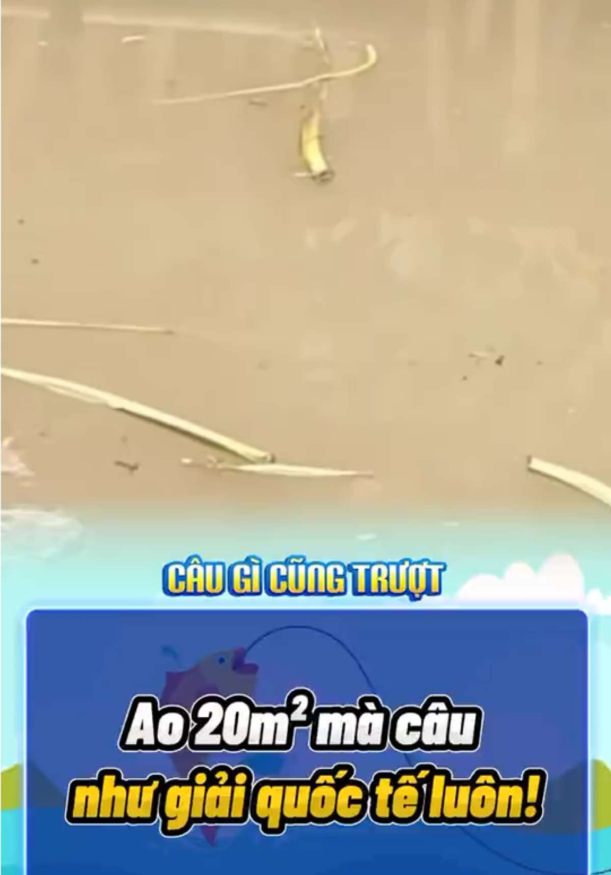 Ao 20m² mà câu như giải quốc tế luôn! #fishing #fishinglife #rarecatch #fishingtok #fyp 