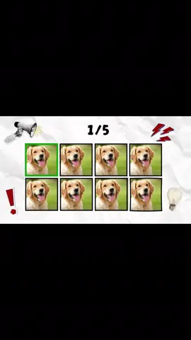 YAYAYAY HOPE YOU LIKE IT #animals #fyp #strangerthings #viral #funny 