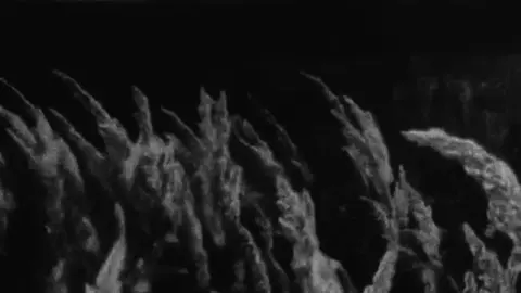 مَينعاف !  .#أصيل_هميم #fyp #fyppppppppppppppppppppppp #اغنية #اغاني 