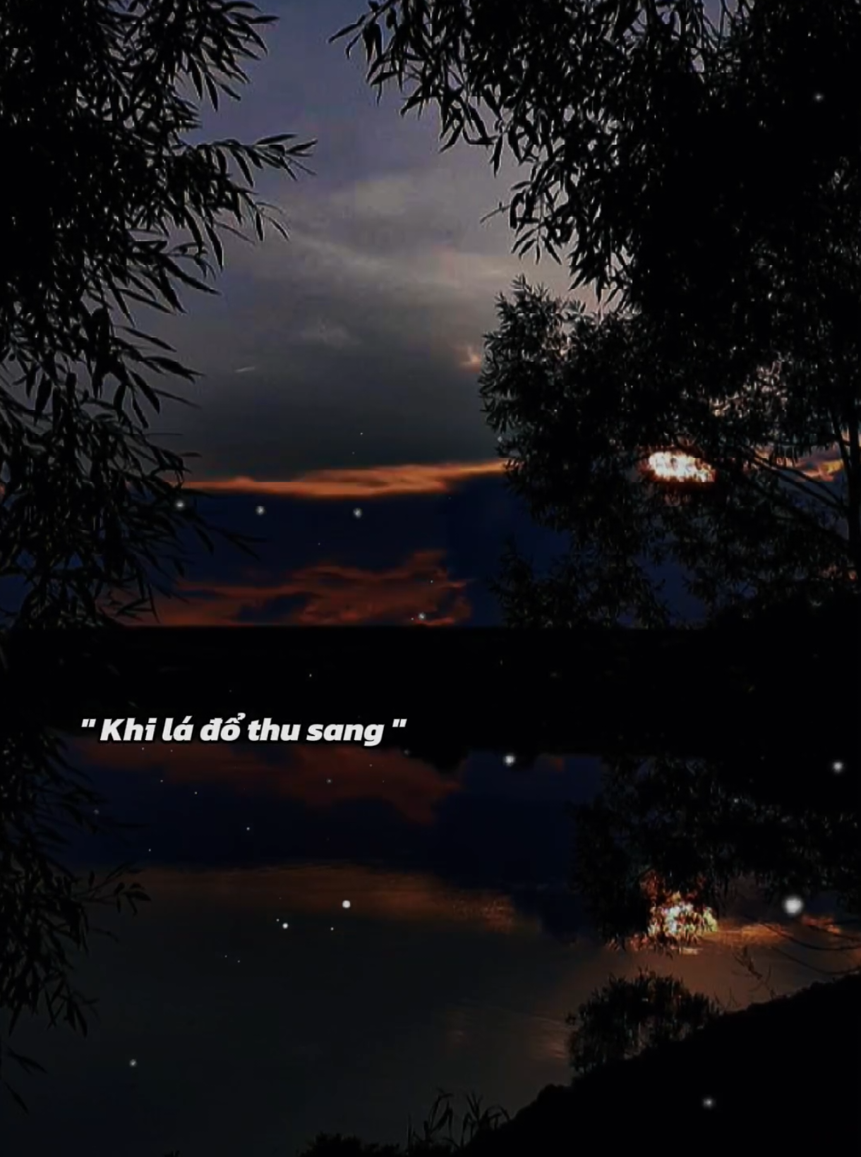 Khi lá đổ thu sang #nhachaymoingay #nhactamtrang #xuhuong2025 #foryou #fyp 