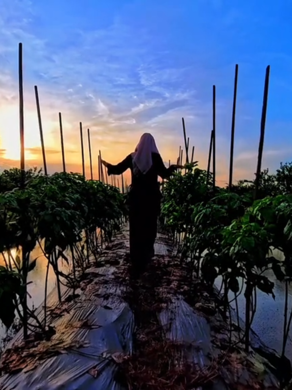 Sore itu #foryou  #senja 