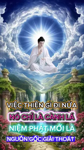 XIN THƯỜNG NIỆM A DI ĐÀ PHẬT 