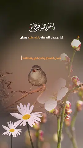 رضيت بالله ربا وبالإسلام دينا وبمحمد صلى الله عليه وسلم نبيا ورسولا. #صباح_الخير #دعاء