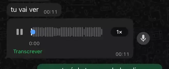 eeeeeee fdd 🤣 #viraltiktok  #viral  #vi  #vaiprofycaramba  @Sampaio 