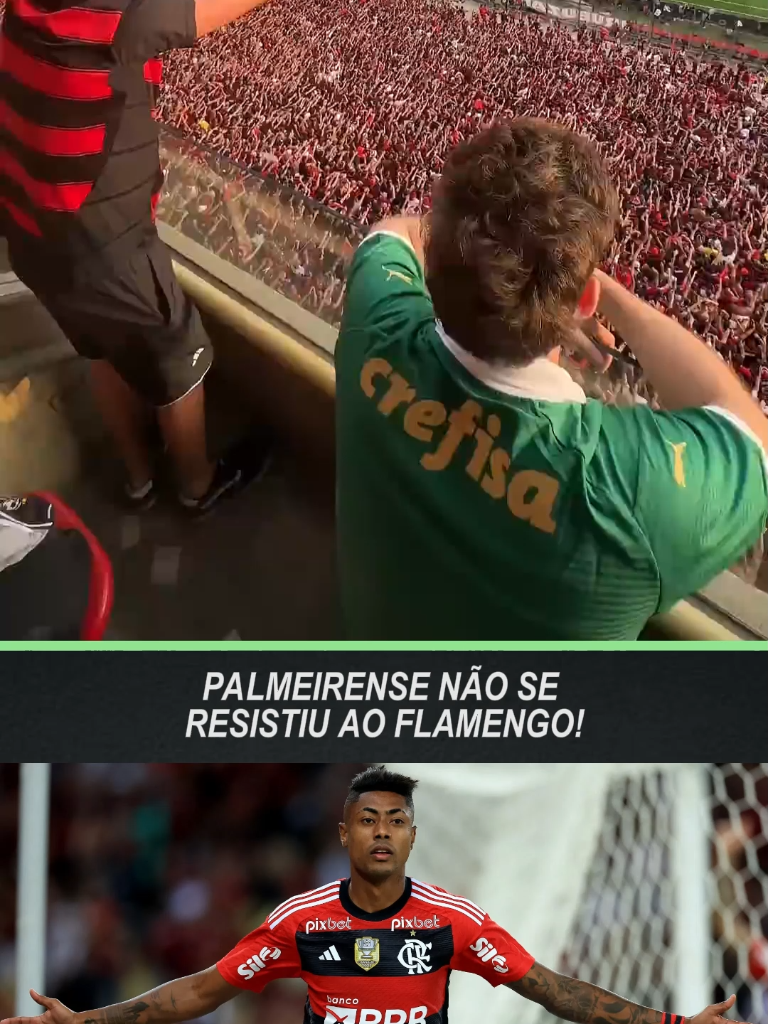 Palmeirense não resisti a torcida do flamengo! #flamengo #libertadores #palmeiras