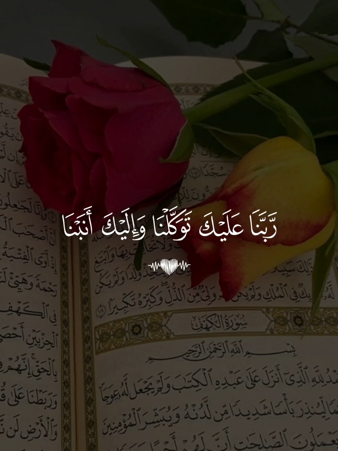 🕳️ تلاوة خاشعة بصوت القارئ سعد الغامدي سورة الممتحنة  #تلاوة_خاشعة #قران #quran #fyp #foruyou 