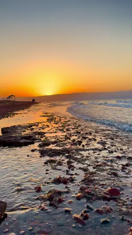 ‏بتزين والله مصيّرها بتزين وبتنفتح بوجيهنا أبواب السماوات والأرض وبتنفرش دروبنا نور وبتمتلي صدورنا رضّا  . . . #explore #explorepage #fyp #محمد_بن_فطيس 