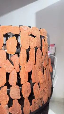 #storesdolagoa #familialagoa 