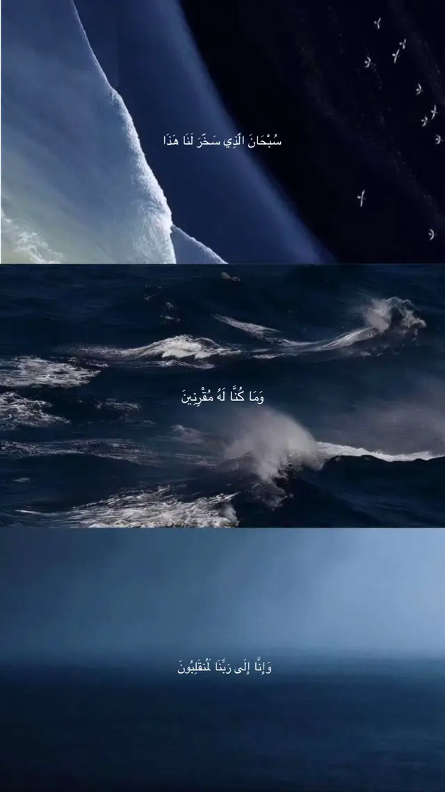 #اللهم_صل_وسلم_على_نبينا_محمد #اللهم_ارحم_موتانا_وموتى_المسلمين #رحمتك_وسعت_كل_شي_واحنا_لاشى_ياالله #لا_اله_الا_الله #استغفرالله_العظيم_واتوب_اليه 