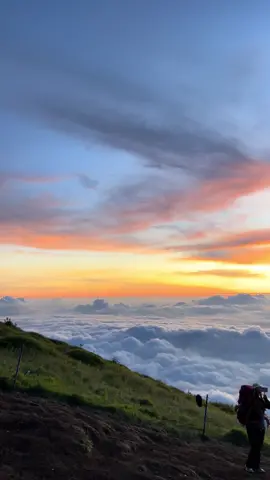 29 November 2025 sumbing via gajah mungkur #fyp #sumbingviagajahmungkur #sumbingmountain #zxycba #pendakiindonesia 