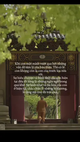 Sự hiểu chuyện và bình tĩnh của con hiện tại đều đã từng là những ngây ngô trong quá khứ. #đạophậtvàđờisống #phạtphapnhiemmau 