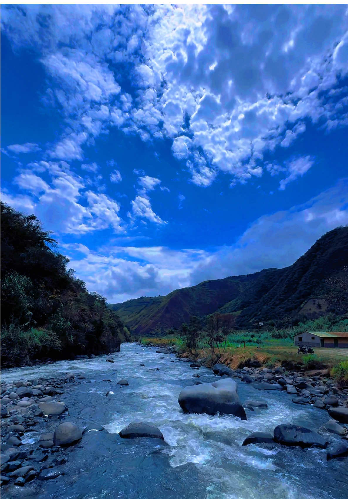 ✨🍃.. #nature #moments #parati #viraltiktok #camera 