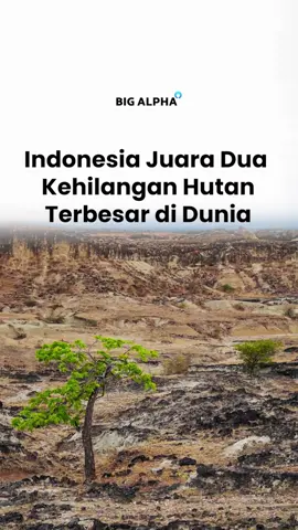 Udah liat kan akibatnya?  #deforestasi #hutan #sumatera #indonesia #gundul 
