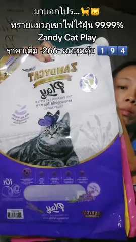 #ทรายแมวzandycat 