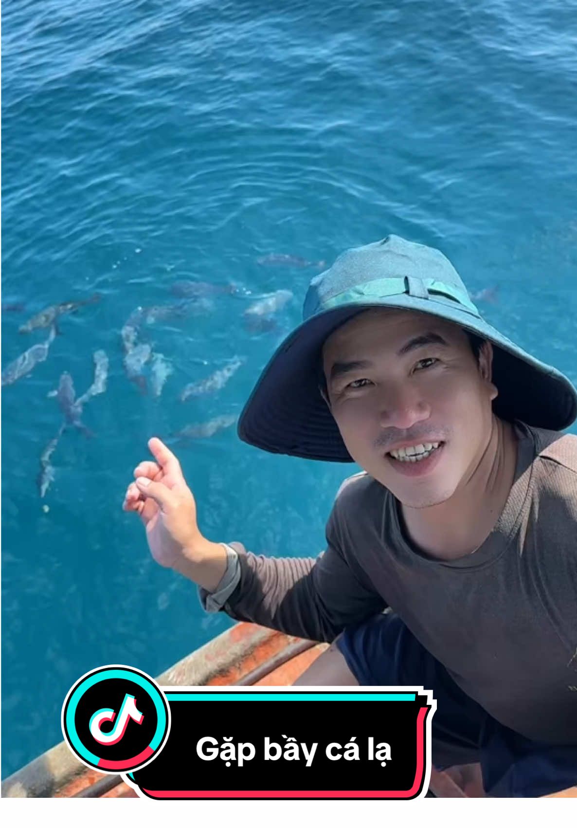 Hành trình đi biển 1 mình (gặp bầy cá lạ,mình không biết cá gì)##chauhoangloc68 #viral #viralvideo #biendong 